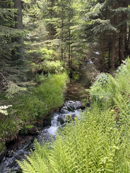 22-05-29 12-59-08 0970.jpg